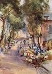 Hong Kong, the Flower Market
